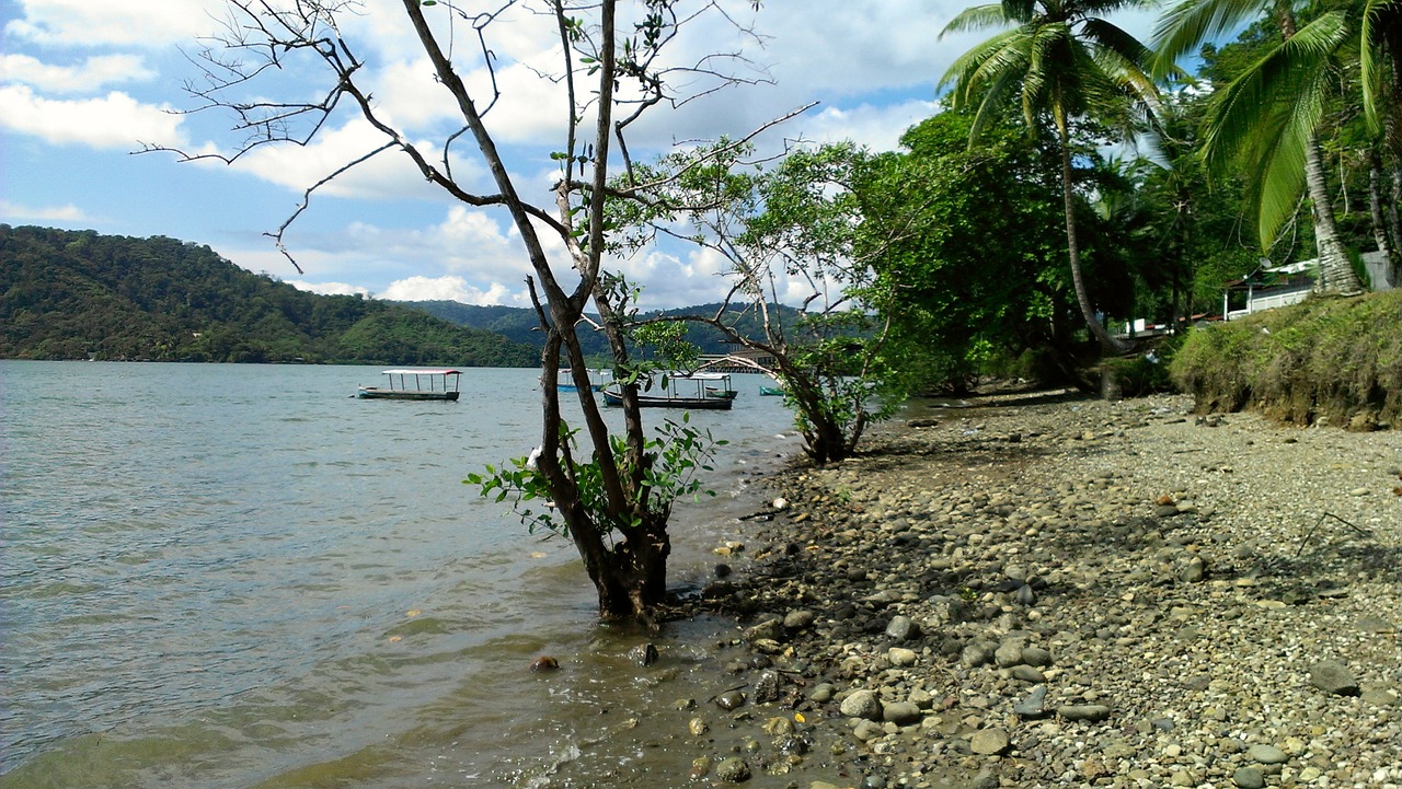 beautiful puerto golfito costa rica puntarenas free photo