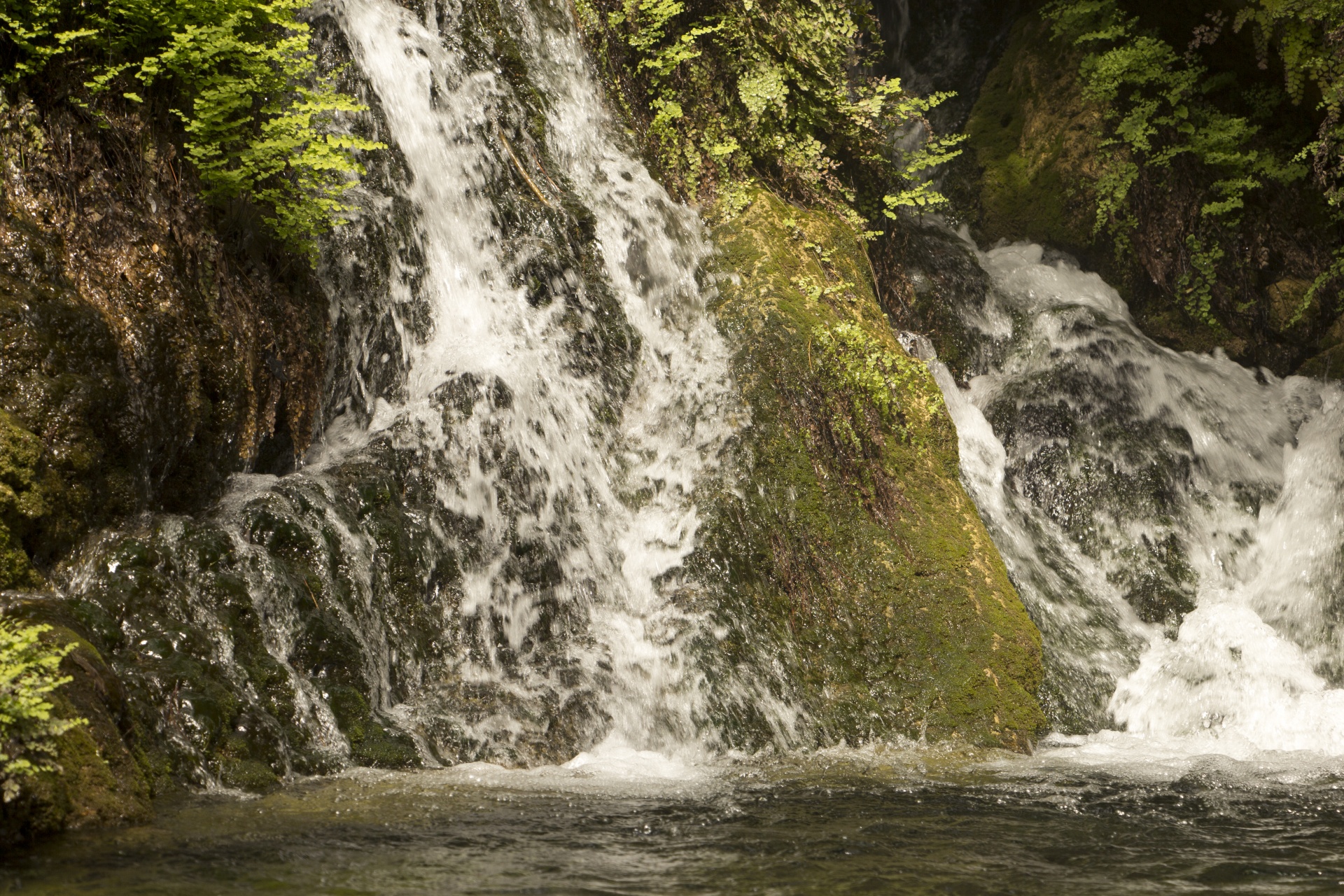 waterfall green foam free photo