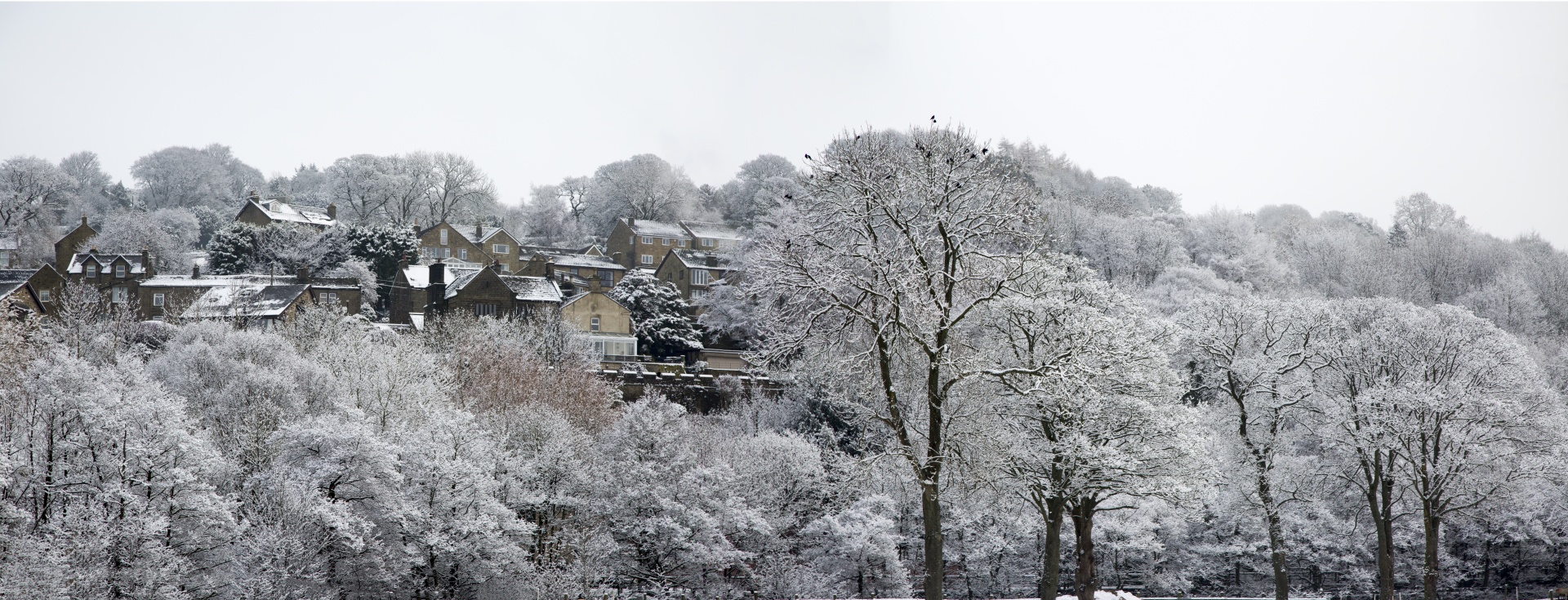 england landscape national park free photo