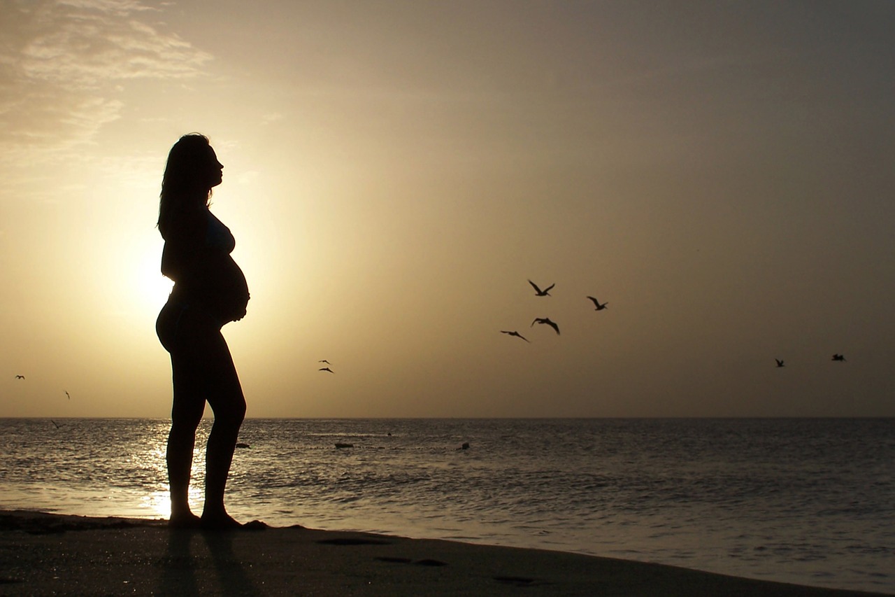 beautiful young pregnant woman in beach free photo