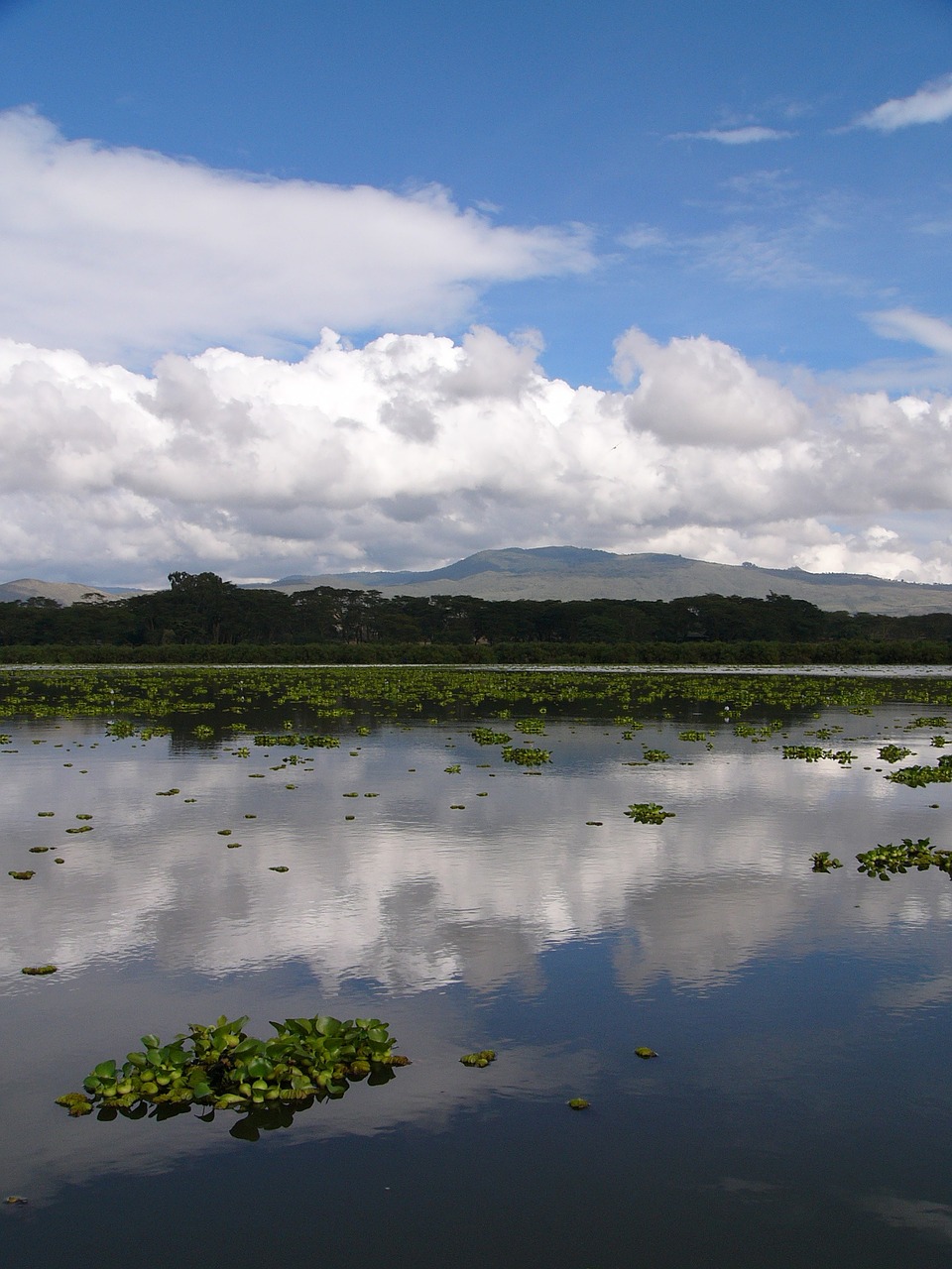 beauty lake africa free photo