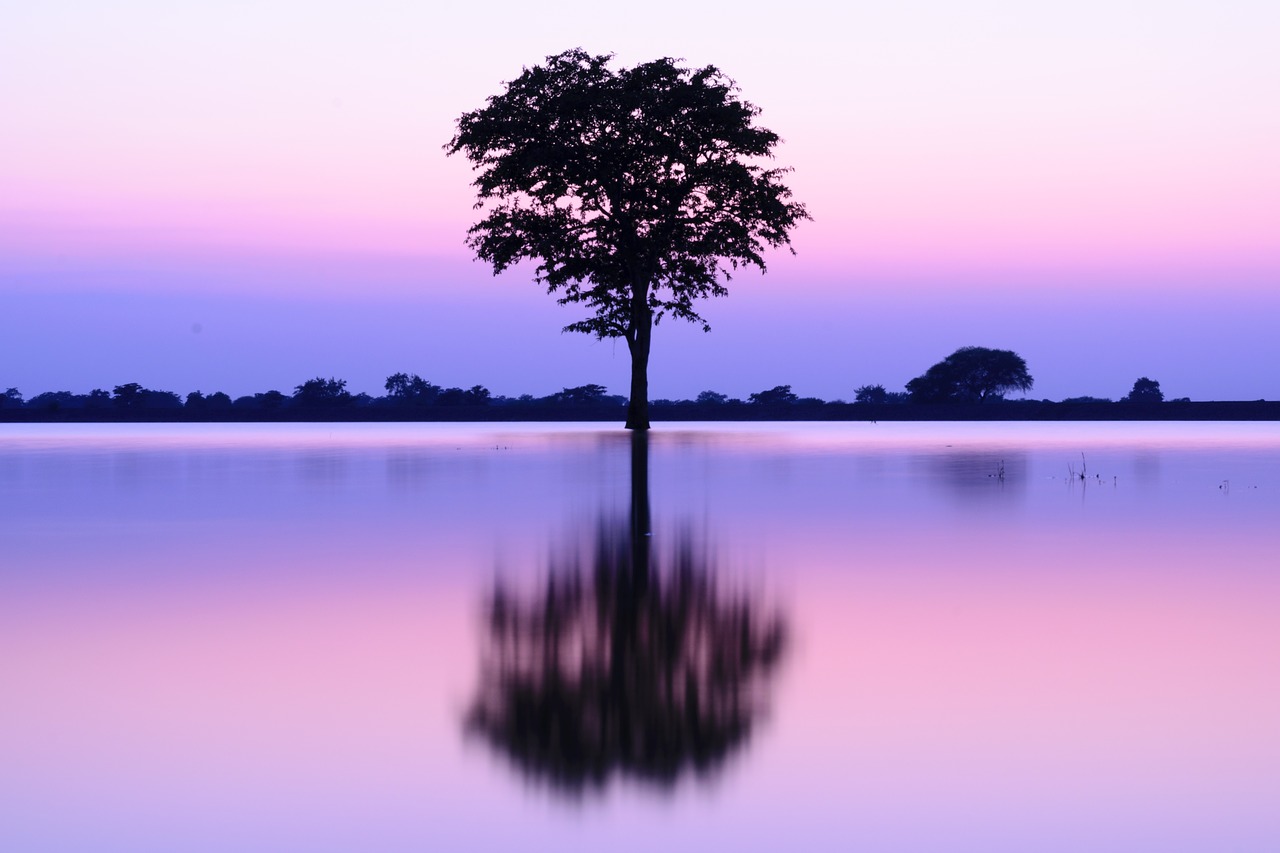 beauty in nature  cloud - sky  dusk free photo