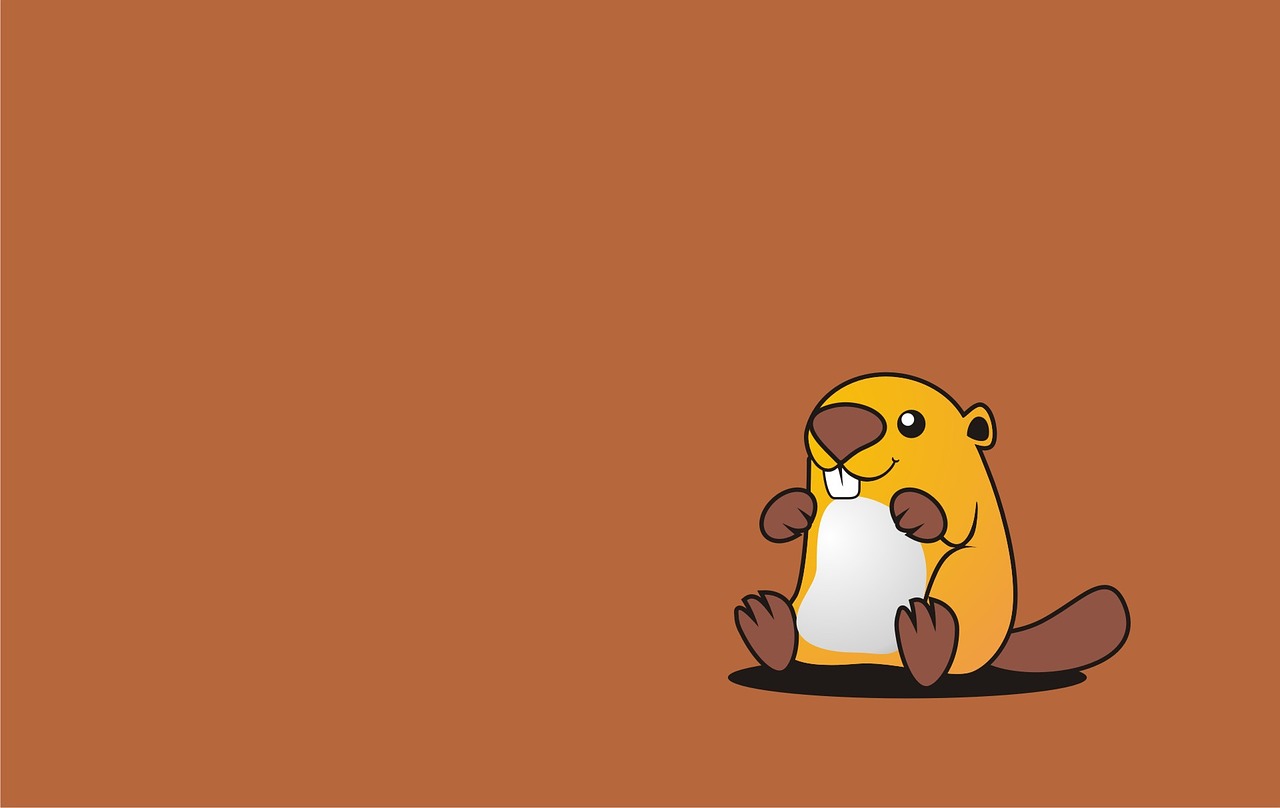 beaver wallpaper orange free photo