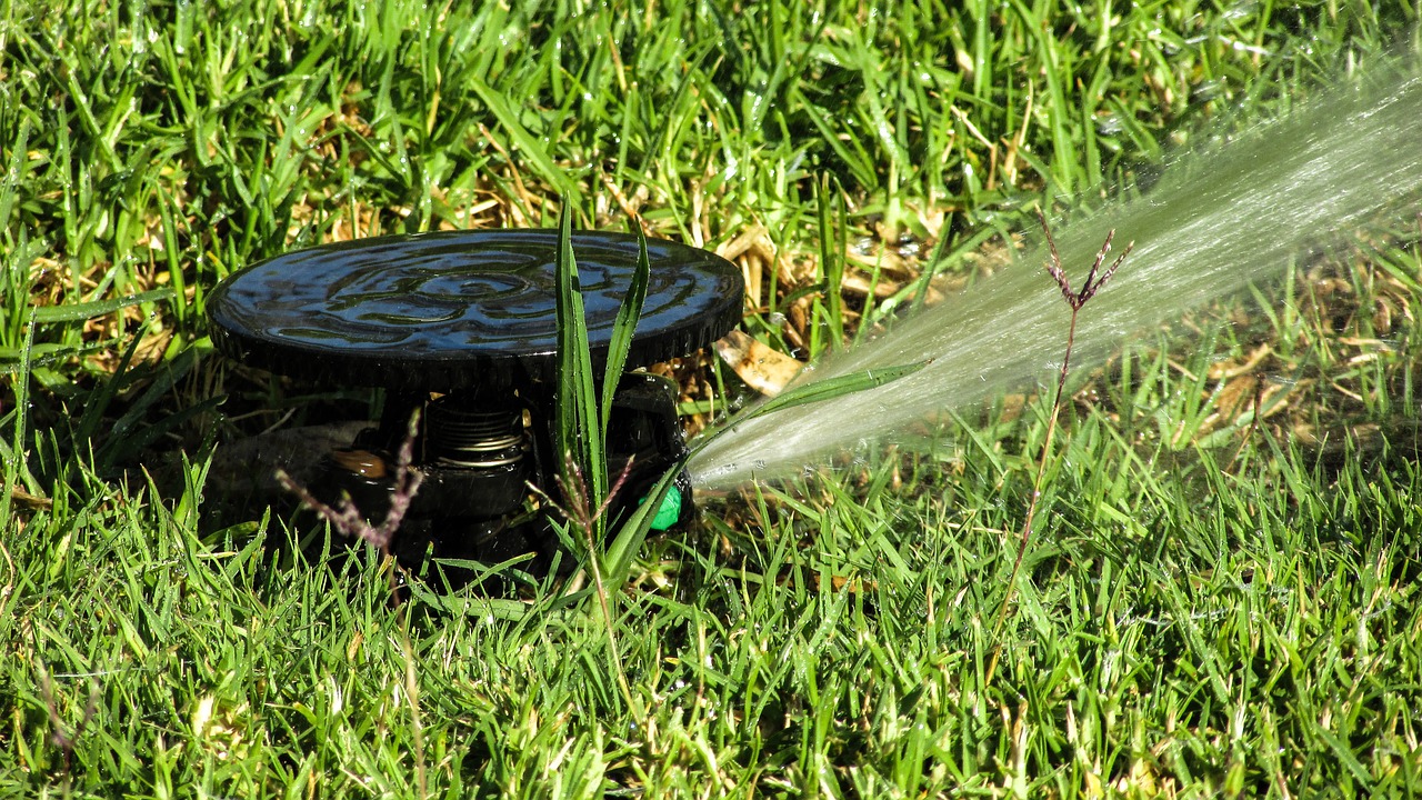 beck water watering free photo