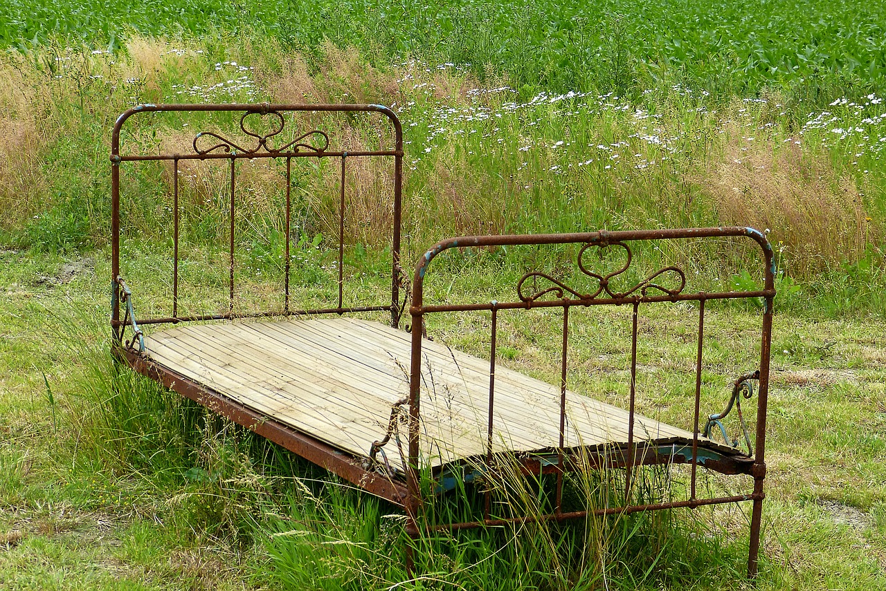 bed field stainless free photo