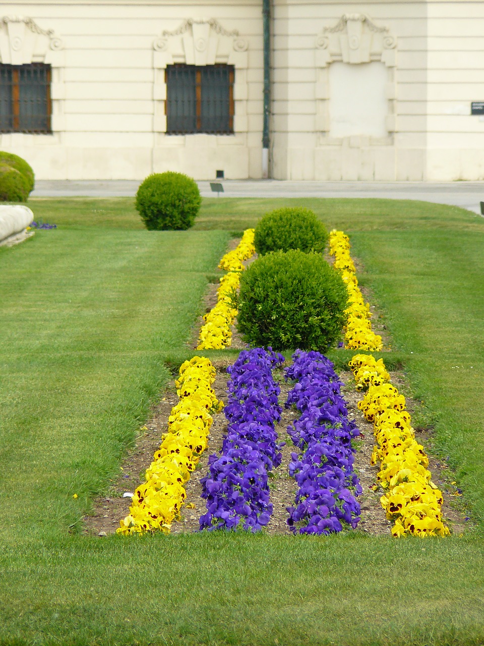 bed flower bed colorful free photo