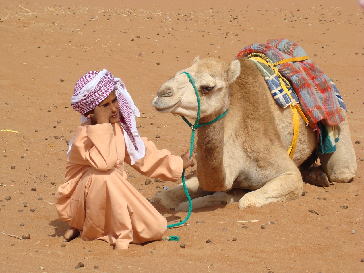 bedouin camel desert free photo