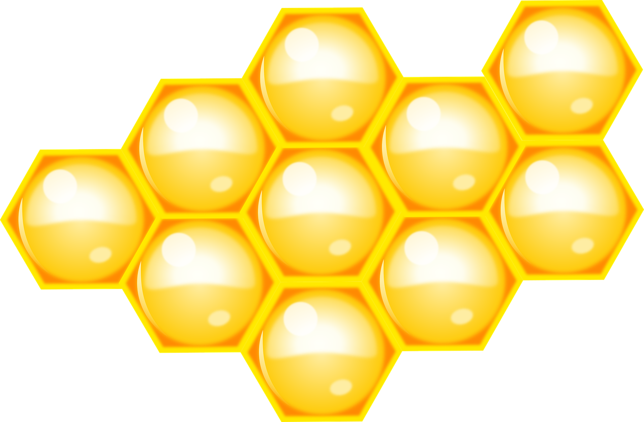 bee beehive hive free photo