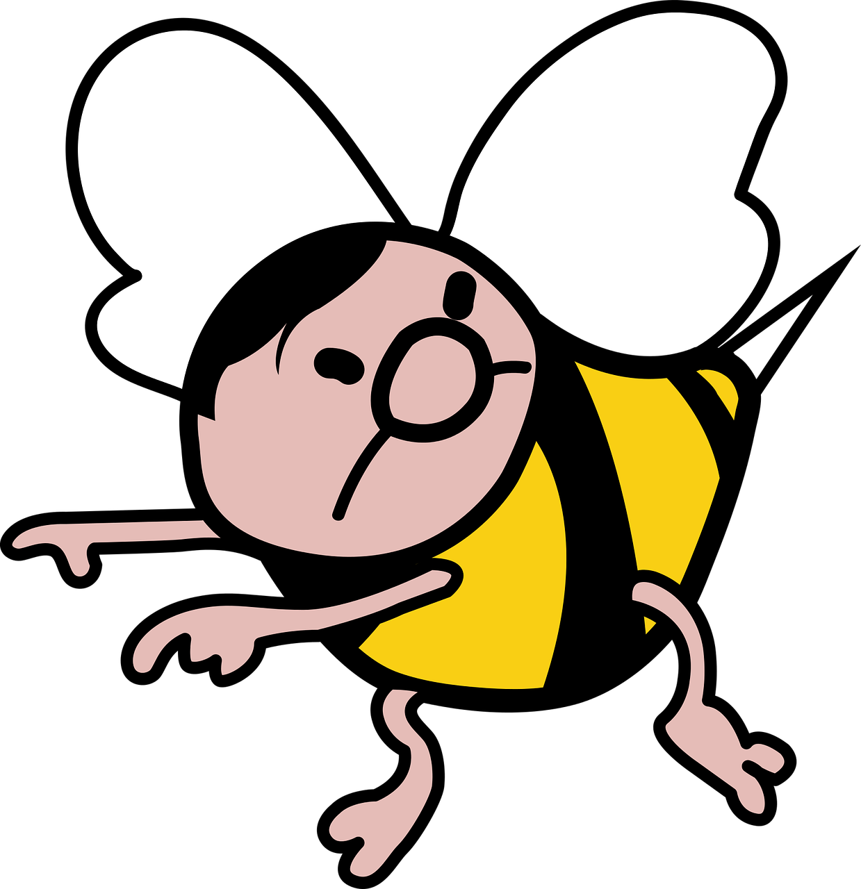 bee bug bumble bee free photo