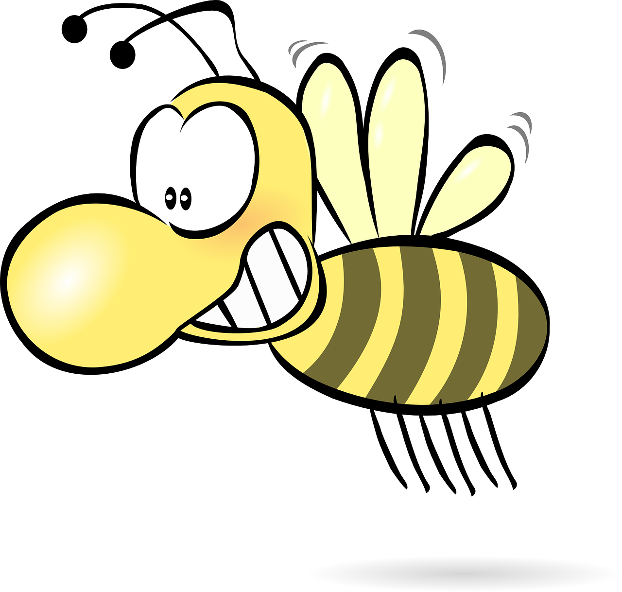 bee honey wasp free photo