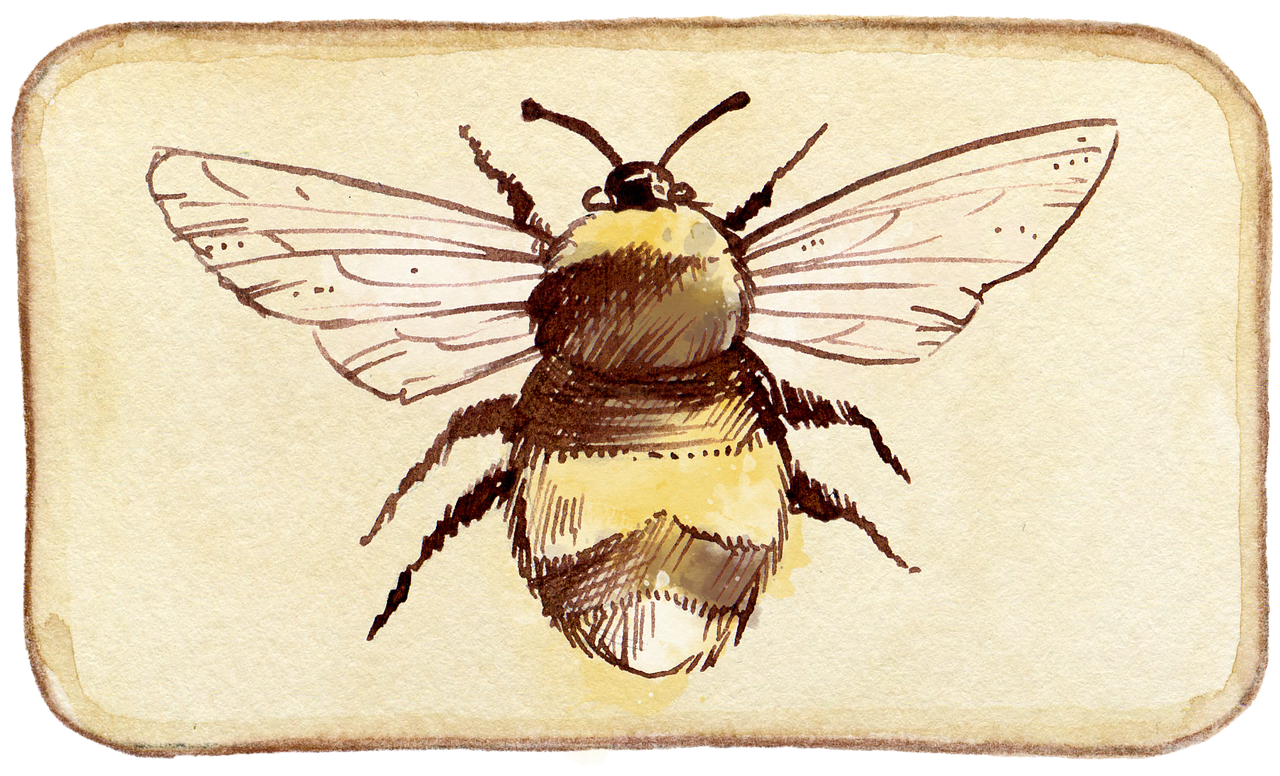 bee scrapbooking embellishment free photo