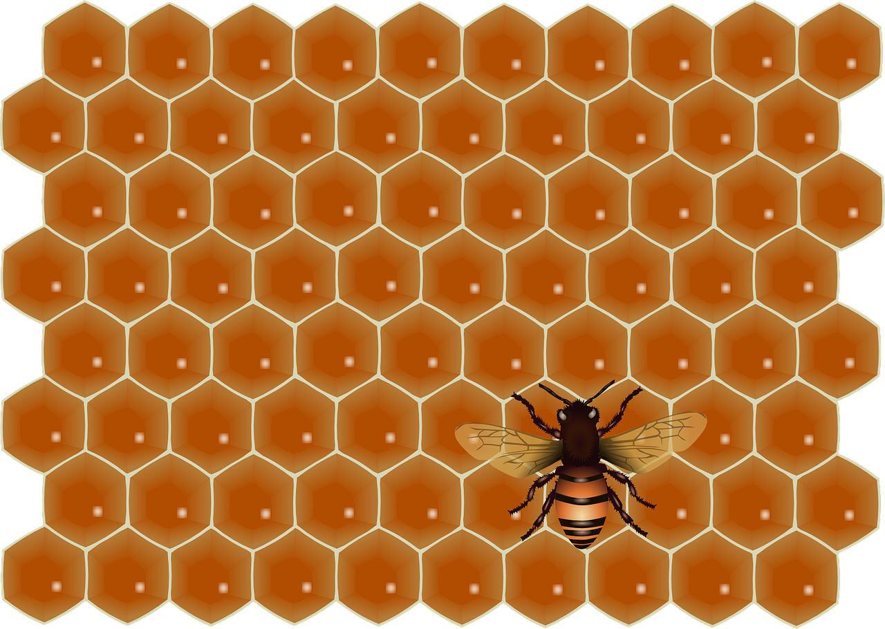 bee social honeycomb free photo