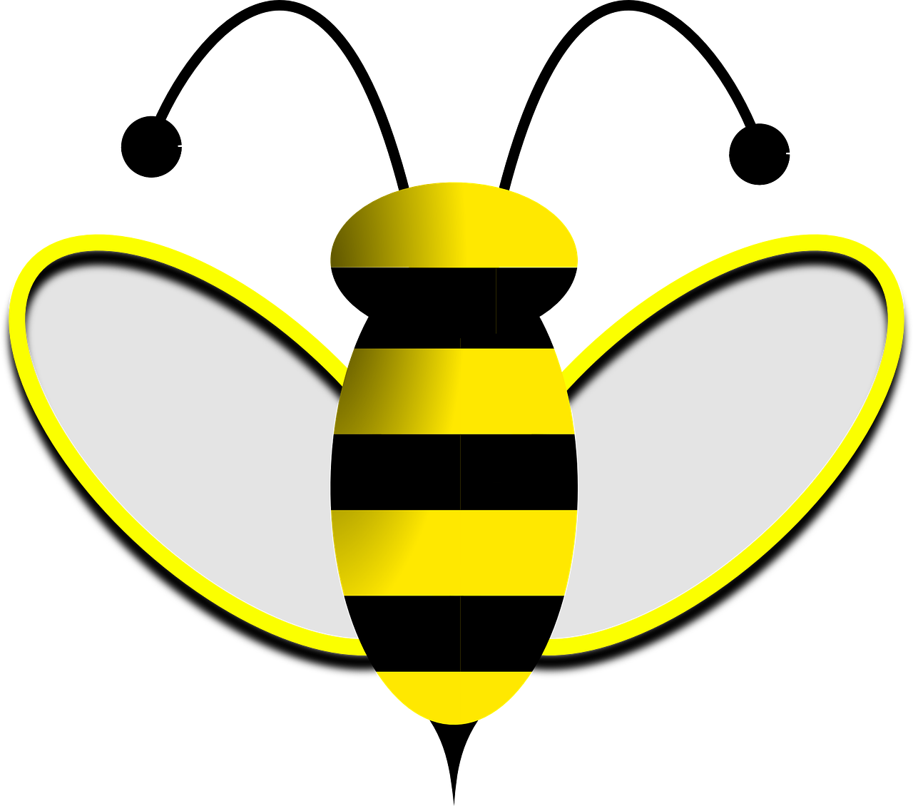 bee honeybee sting free photo