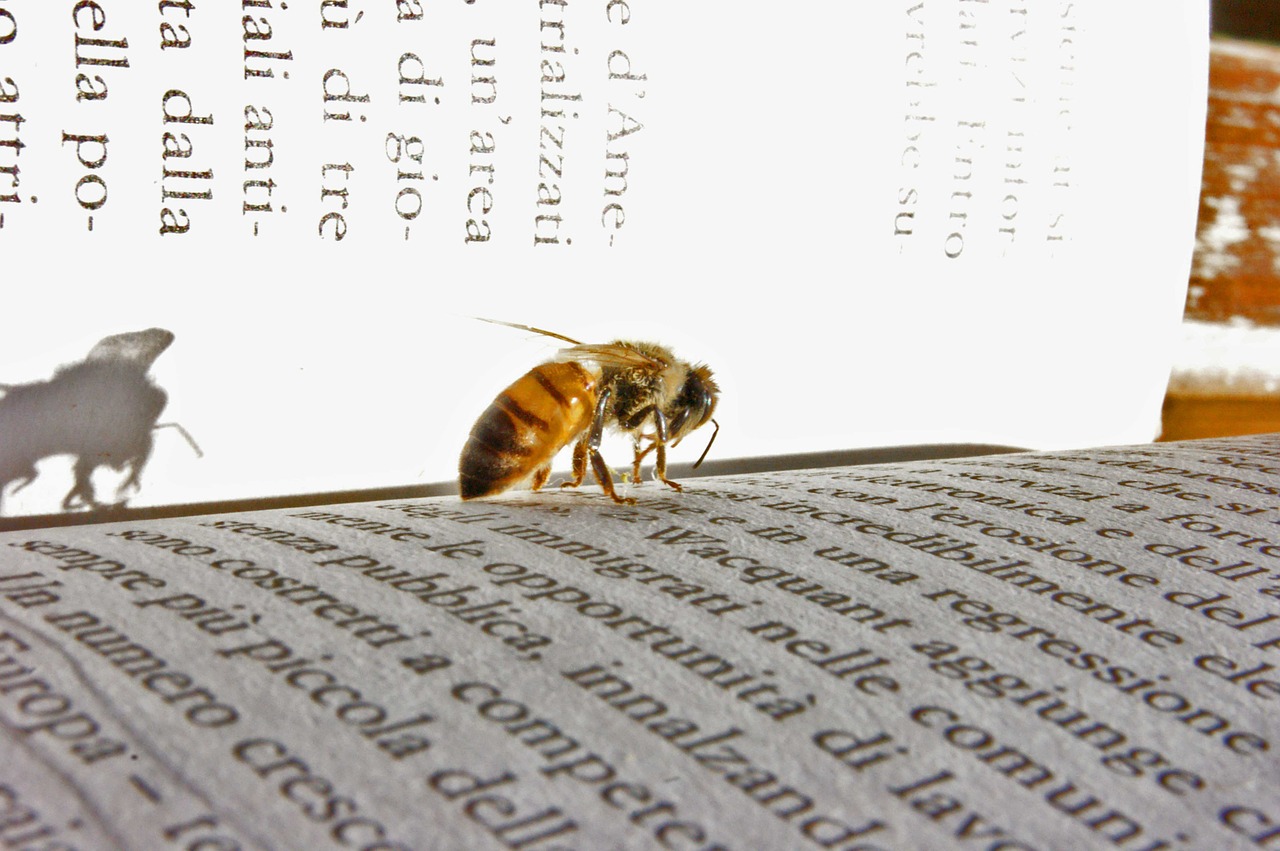 bee book rifkin free photo