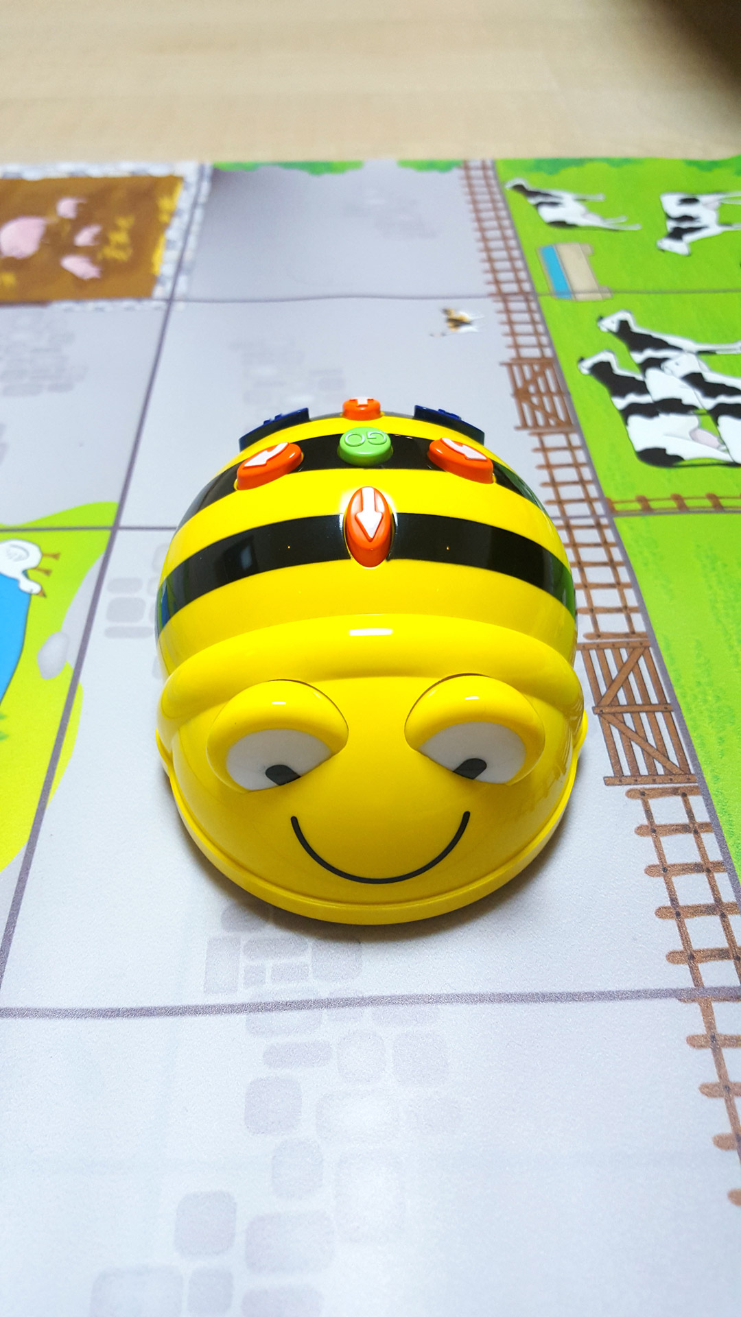 Bee Bot coding bee bot free Pictures Free Photos Free Image From 