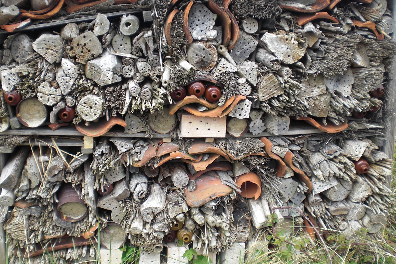 insect house bee hotel bees free photo