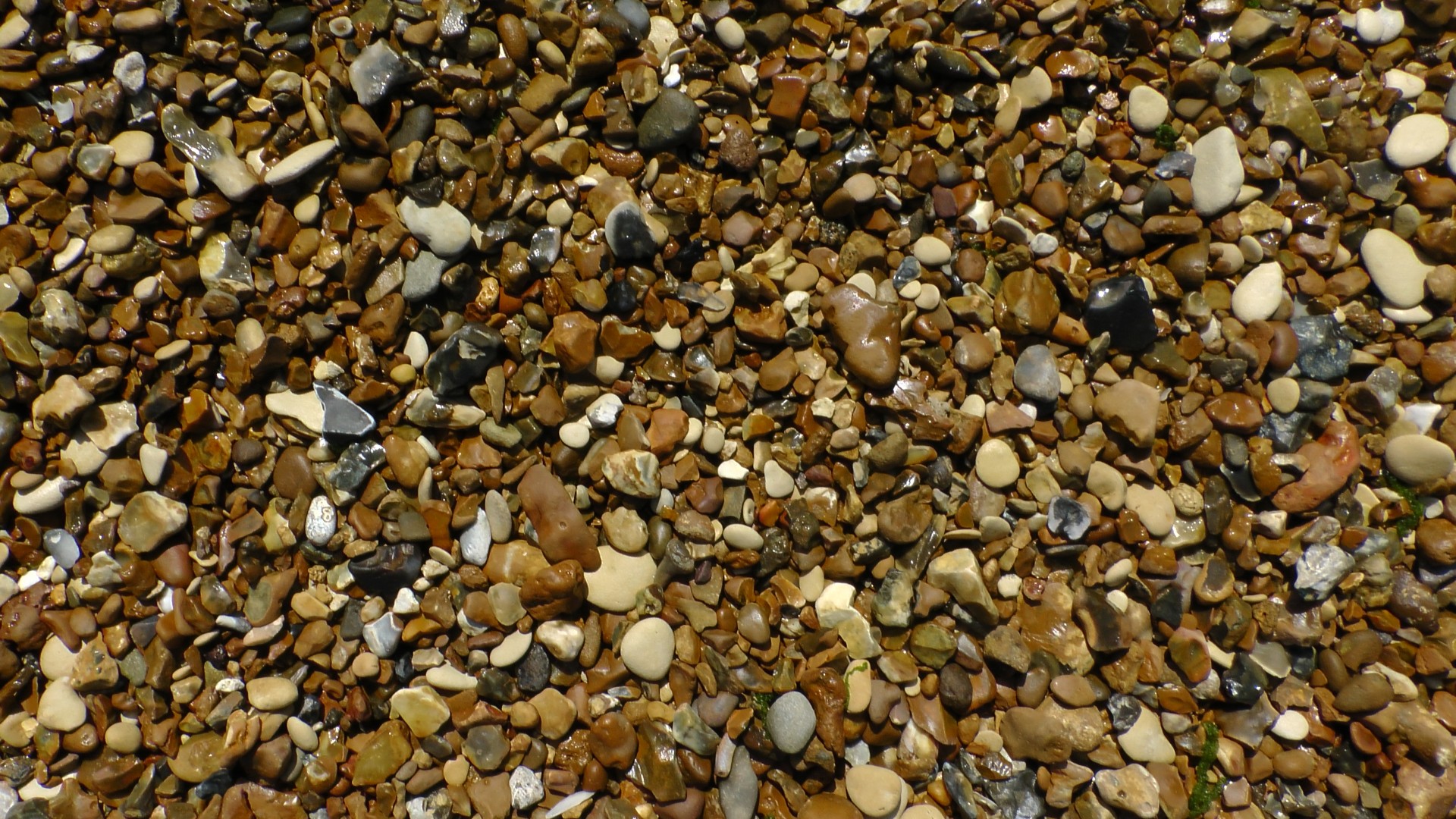 pebbles beach beach pebbles free photo
