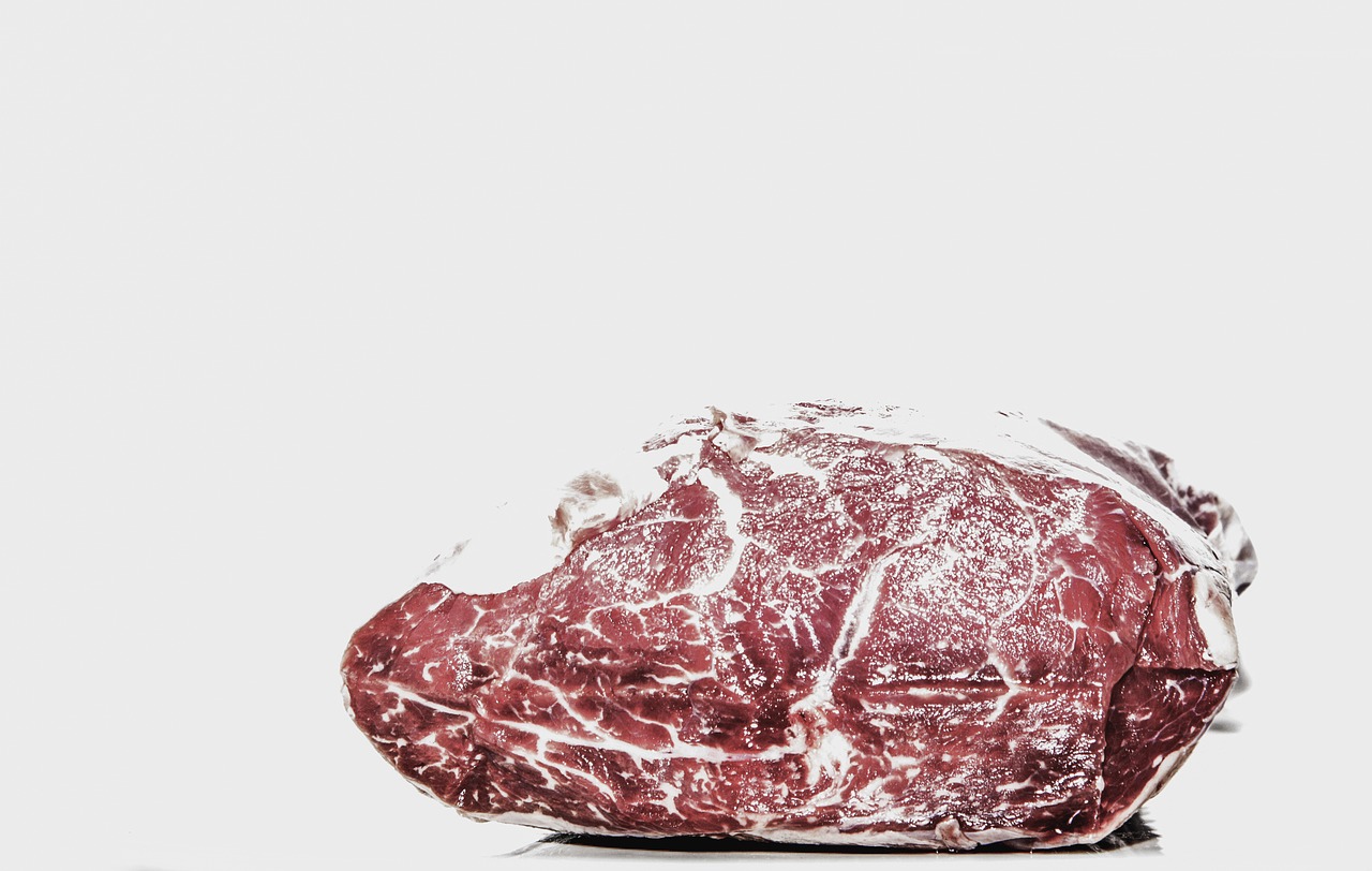 beef steak fillet free photo