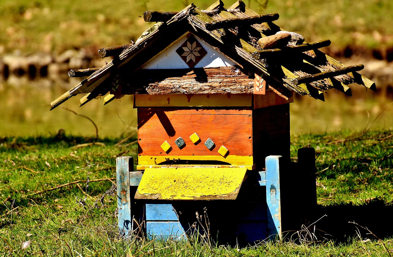 beehive bees wood free photo