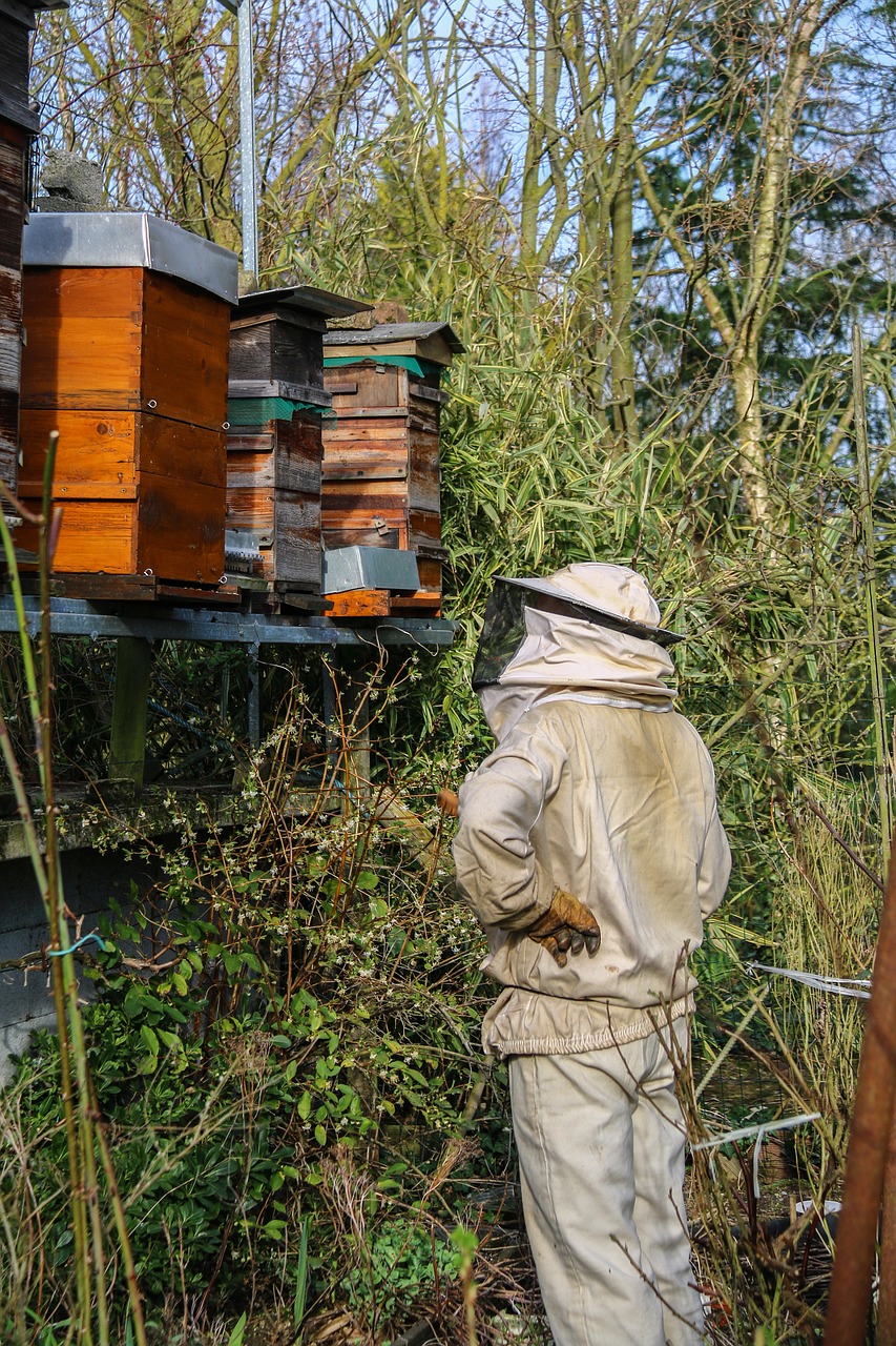 beekeeper honey hives free photo