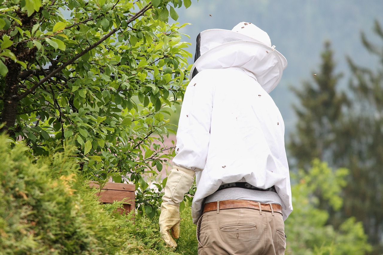 beekeeper  bee keeping  beekeeping free photo