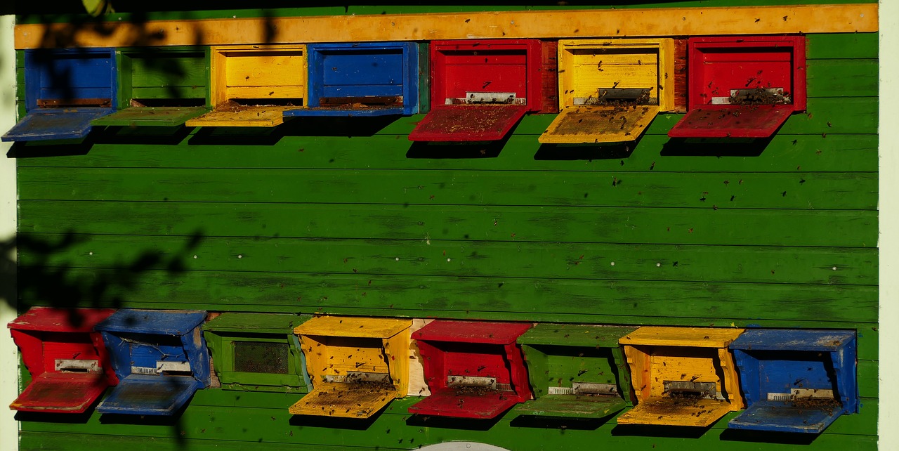 beekeeper  bees  nature free photo