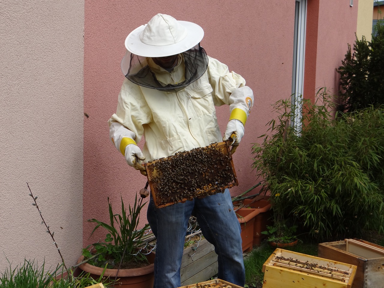 beekeeper honey beekeeping free photo