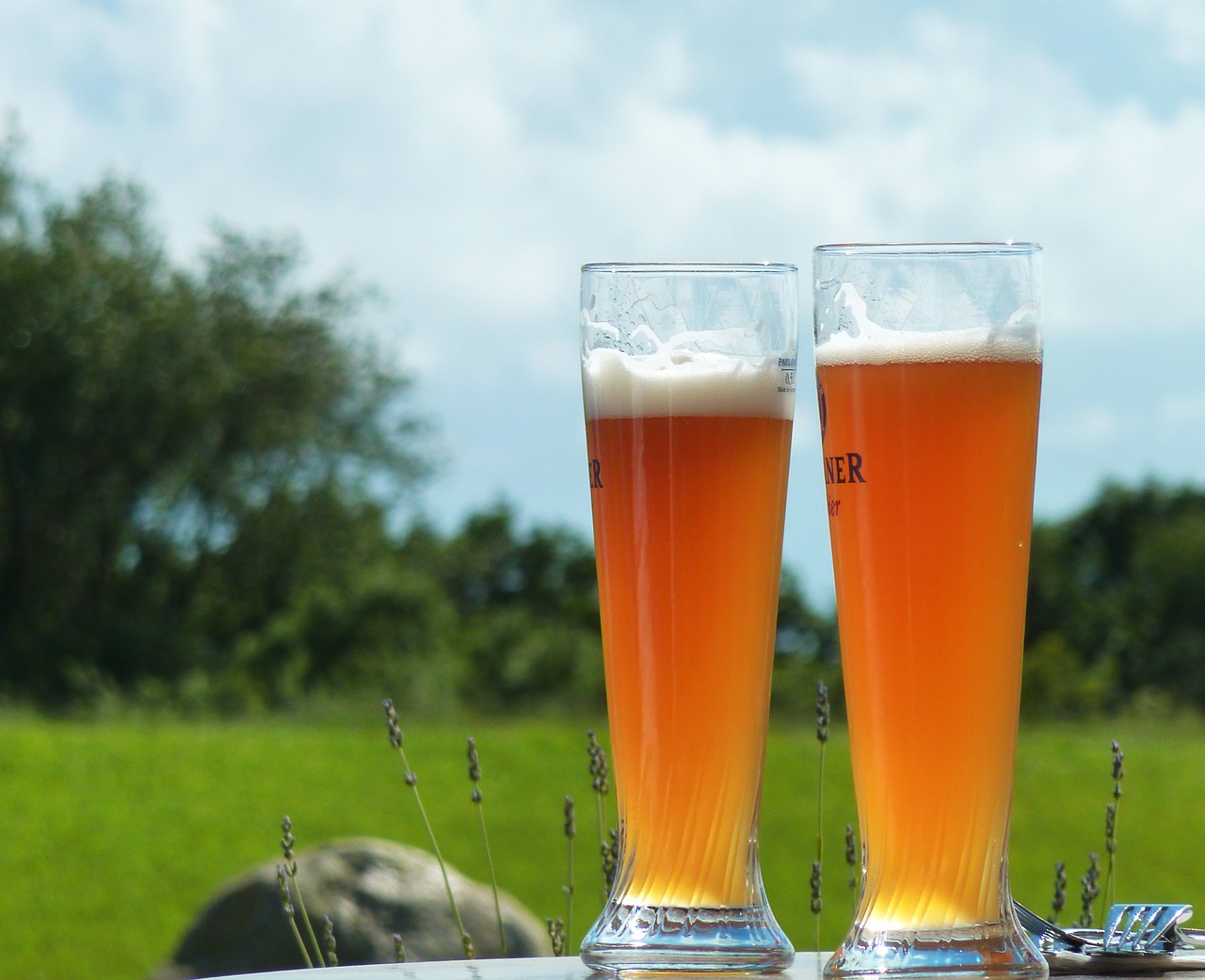 beer refreshment wheat beer free photo