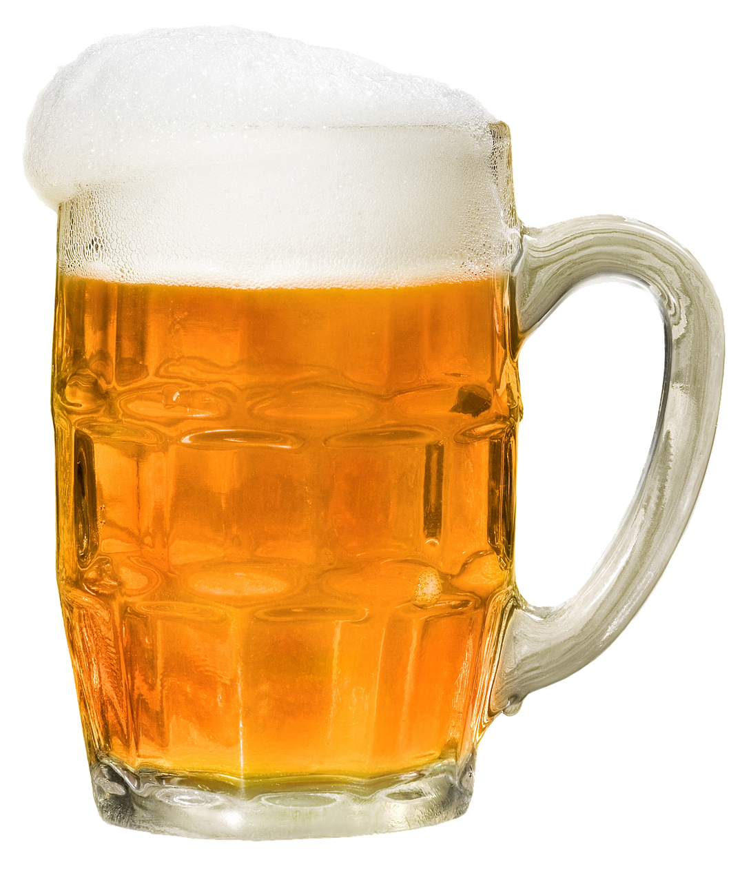 beer beer mug foam free photo