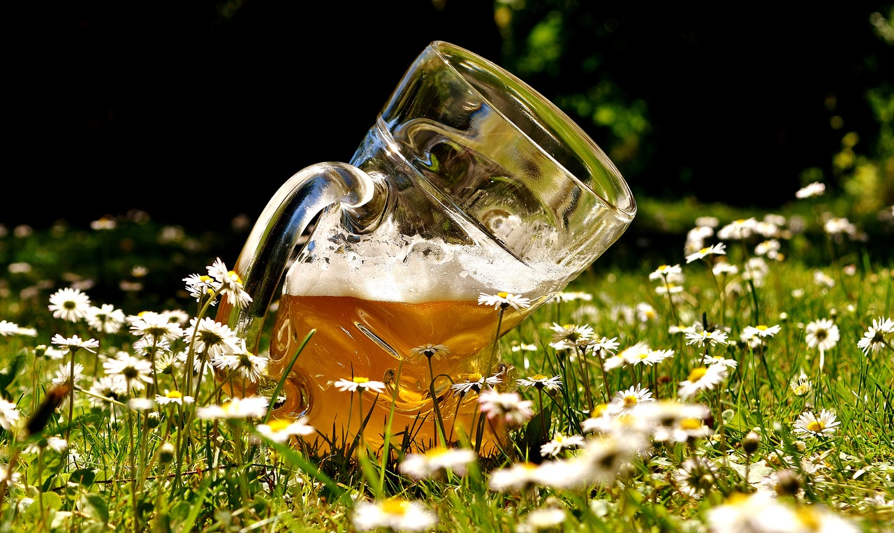 beer beer glass deformed free photo