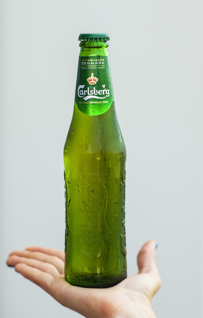beer bottle cold free photo