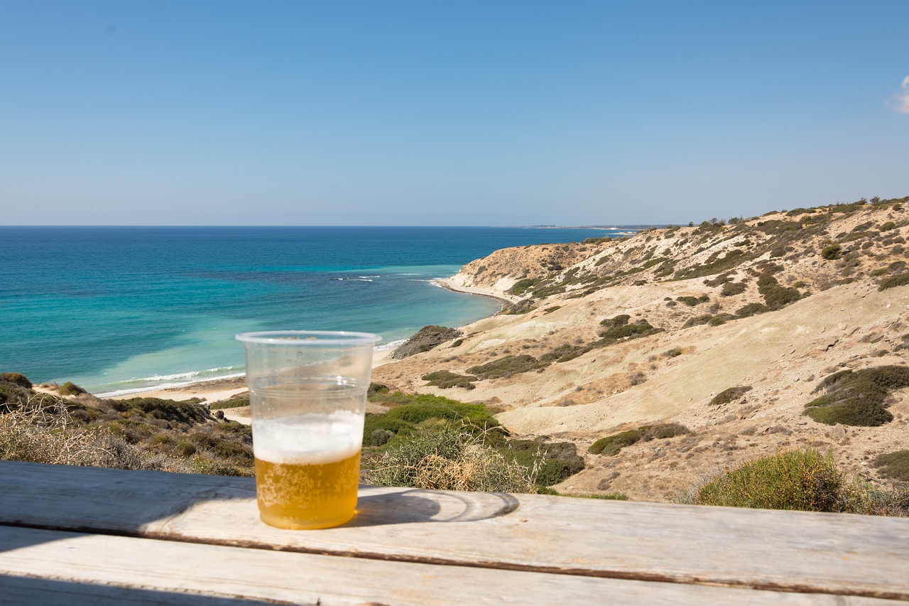 beer beach summer free photo