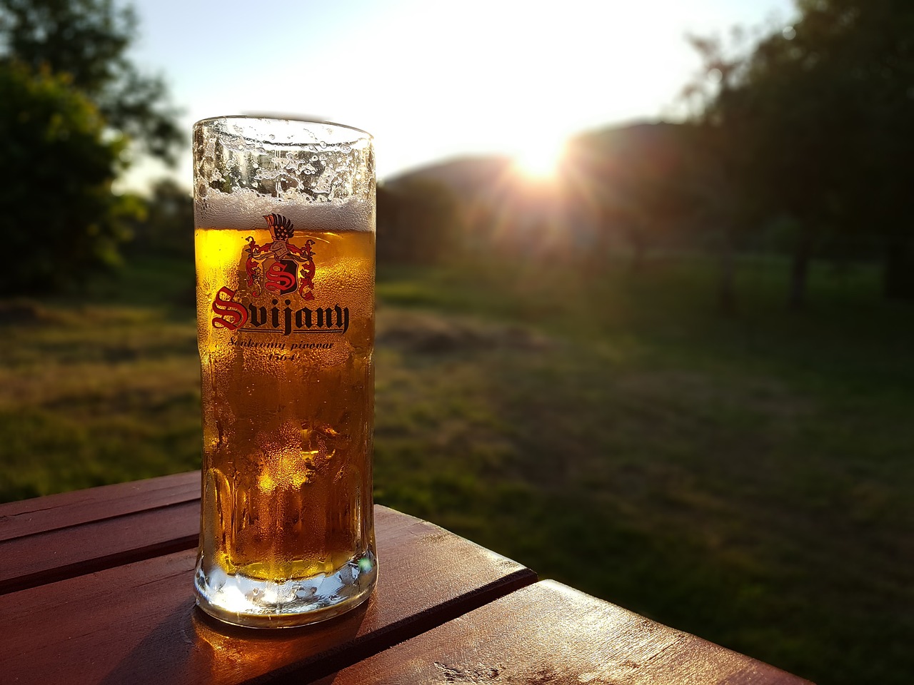 beer glass drink free photo