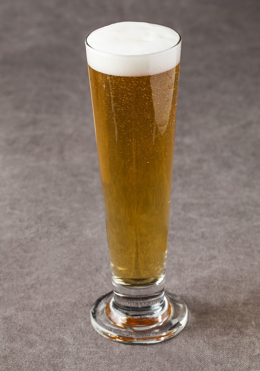 beer  wine glass  cold beer free photo