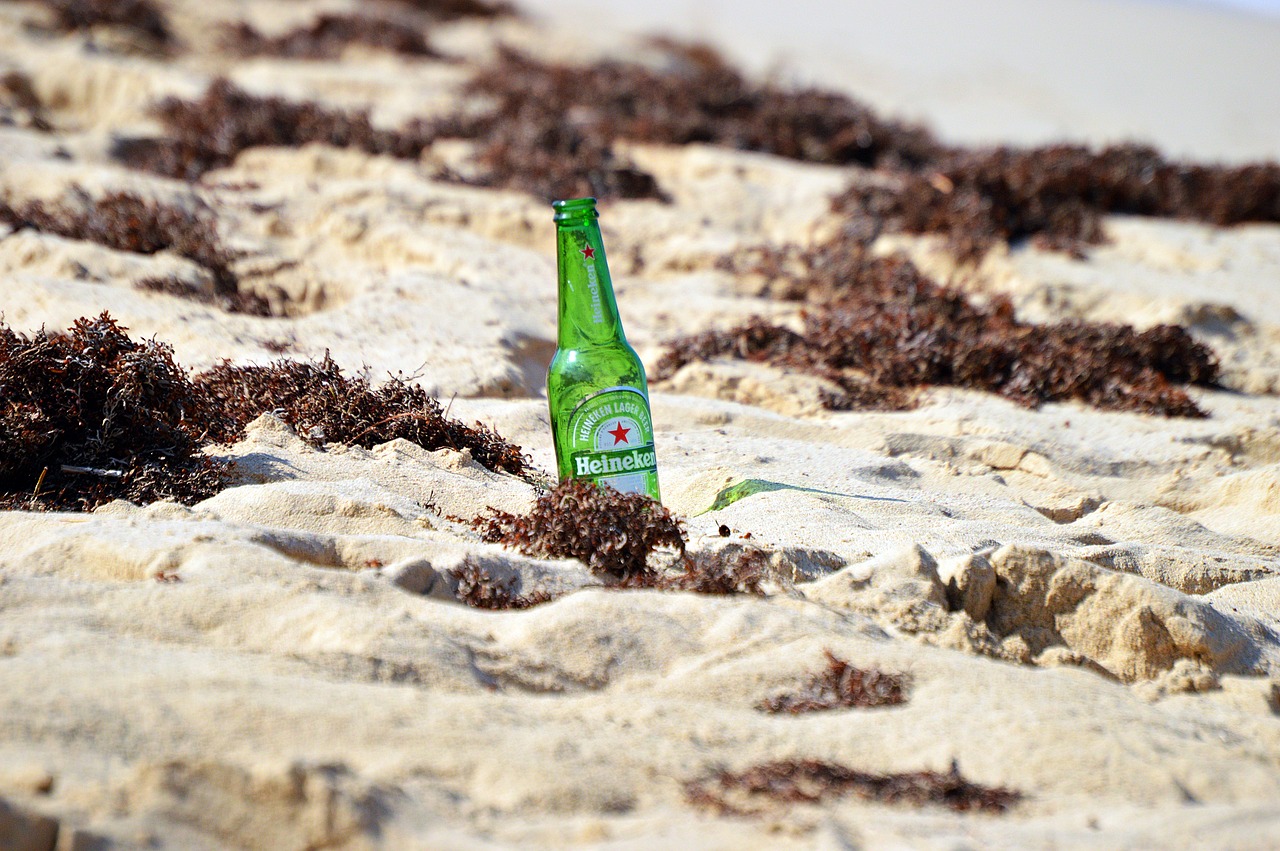 beer  beach  sand free photo