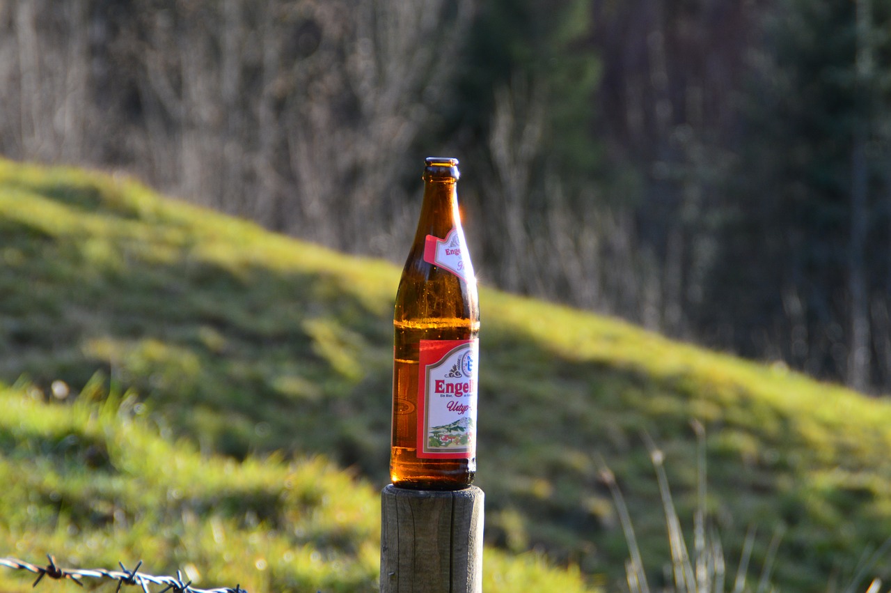 beer beer bottle engelbraeu free photo