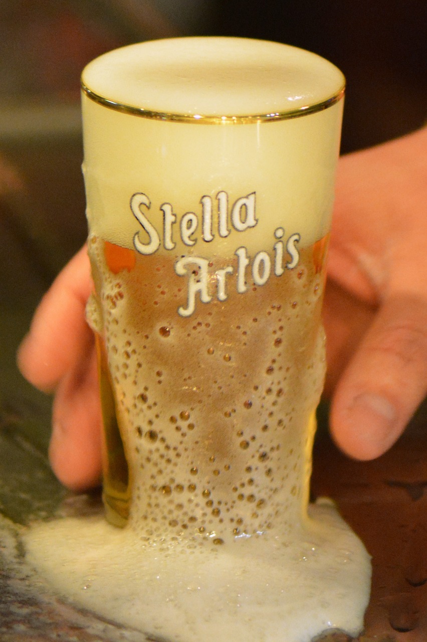 beer stella artois drink free photo