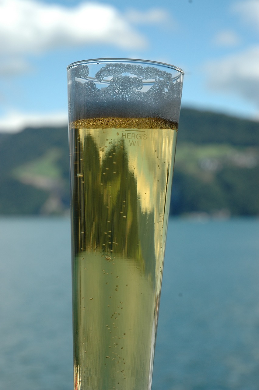 beer glass lake free photo