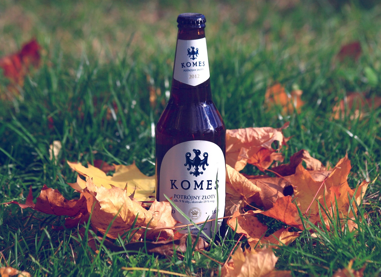 beer autumn foliage free photo