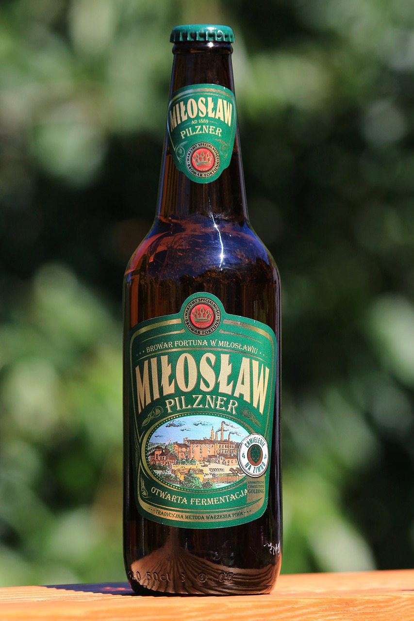 beer ale miloslaw free photo