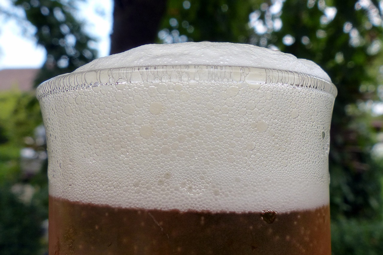 beer foam glass free photo