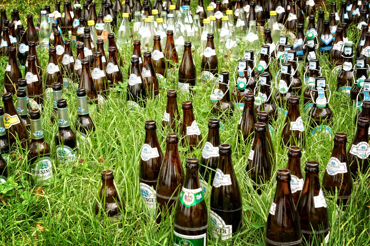 beer bottles bottles beer free photo