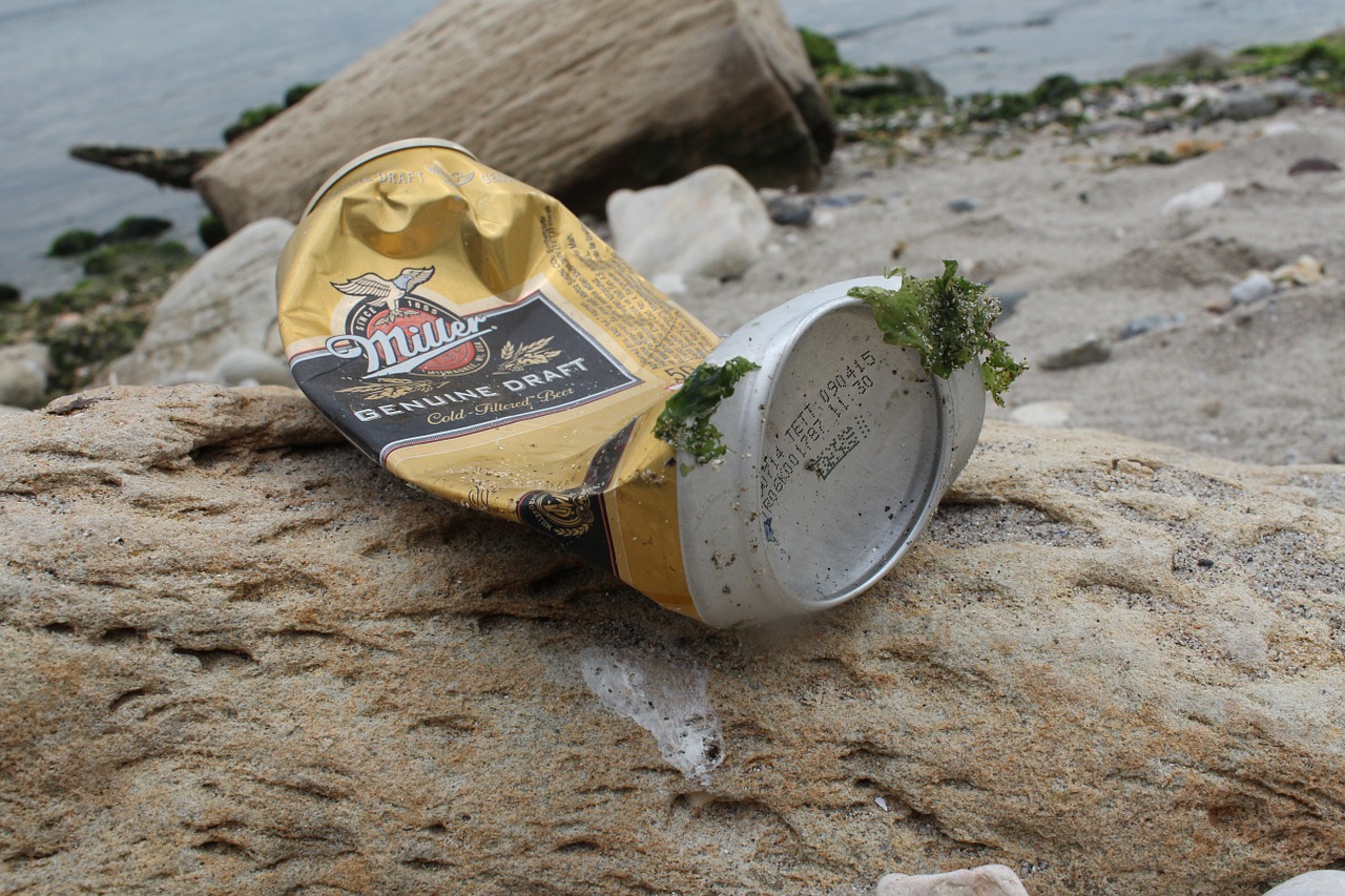 beer can marine waste free photo