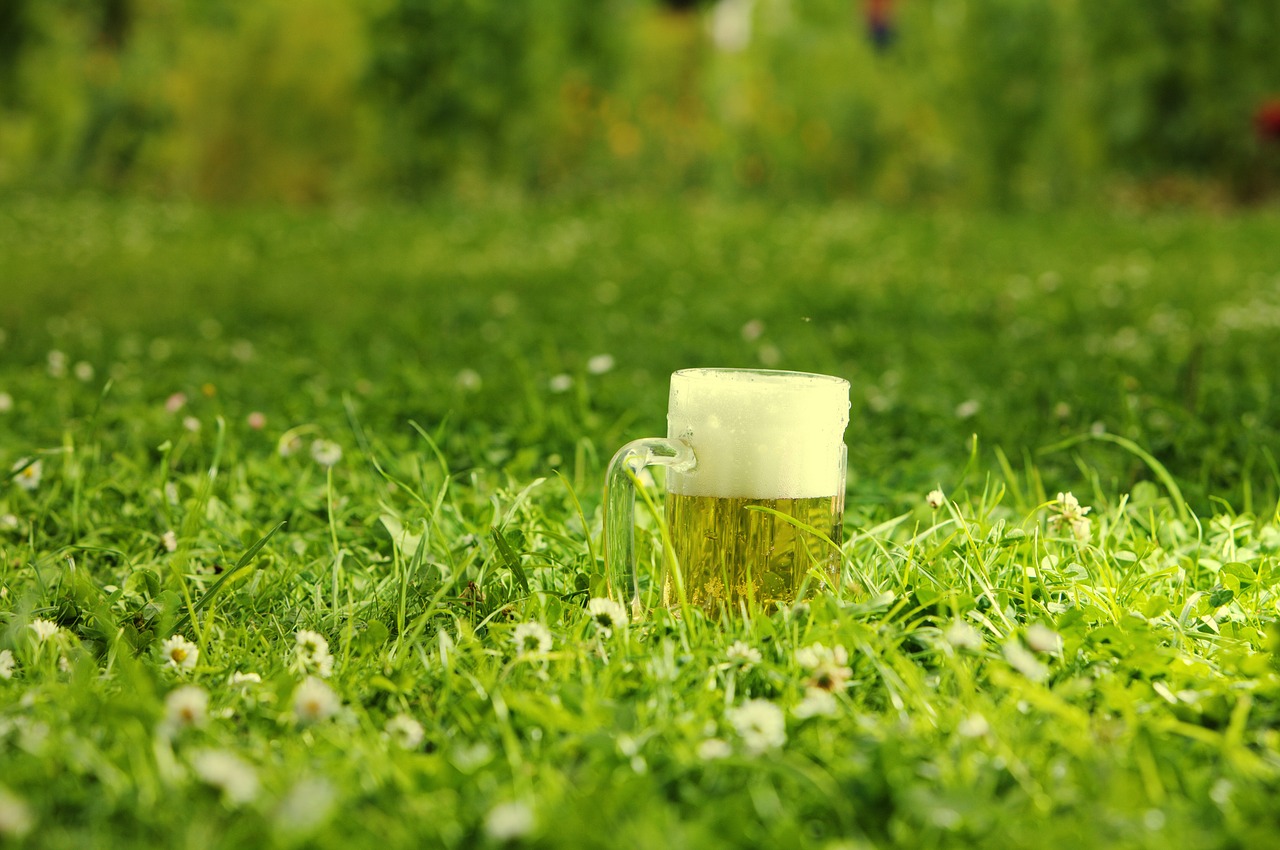 beer mug meadow drinking green free photo