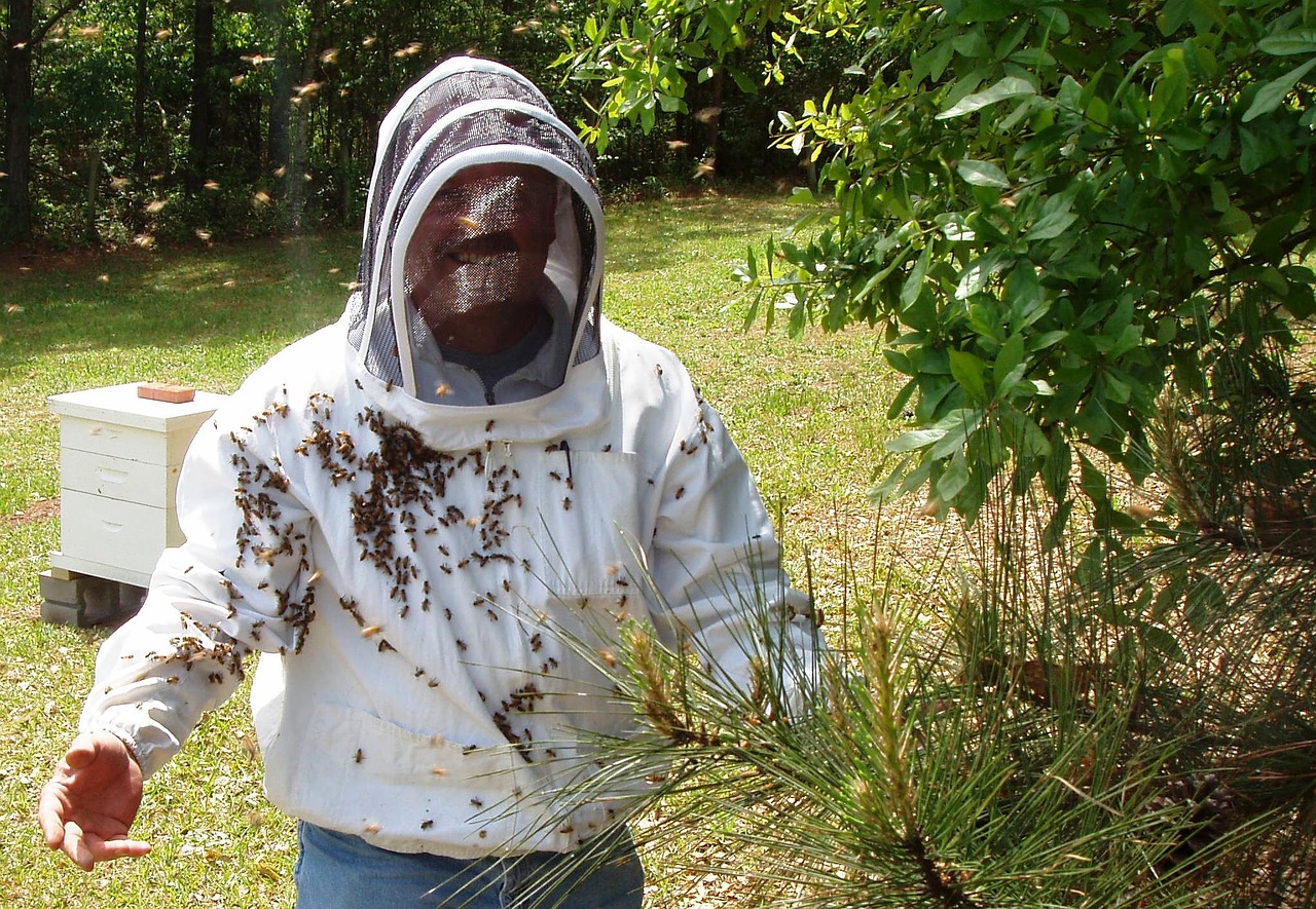 bees beekeeper agriculture free photo