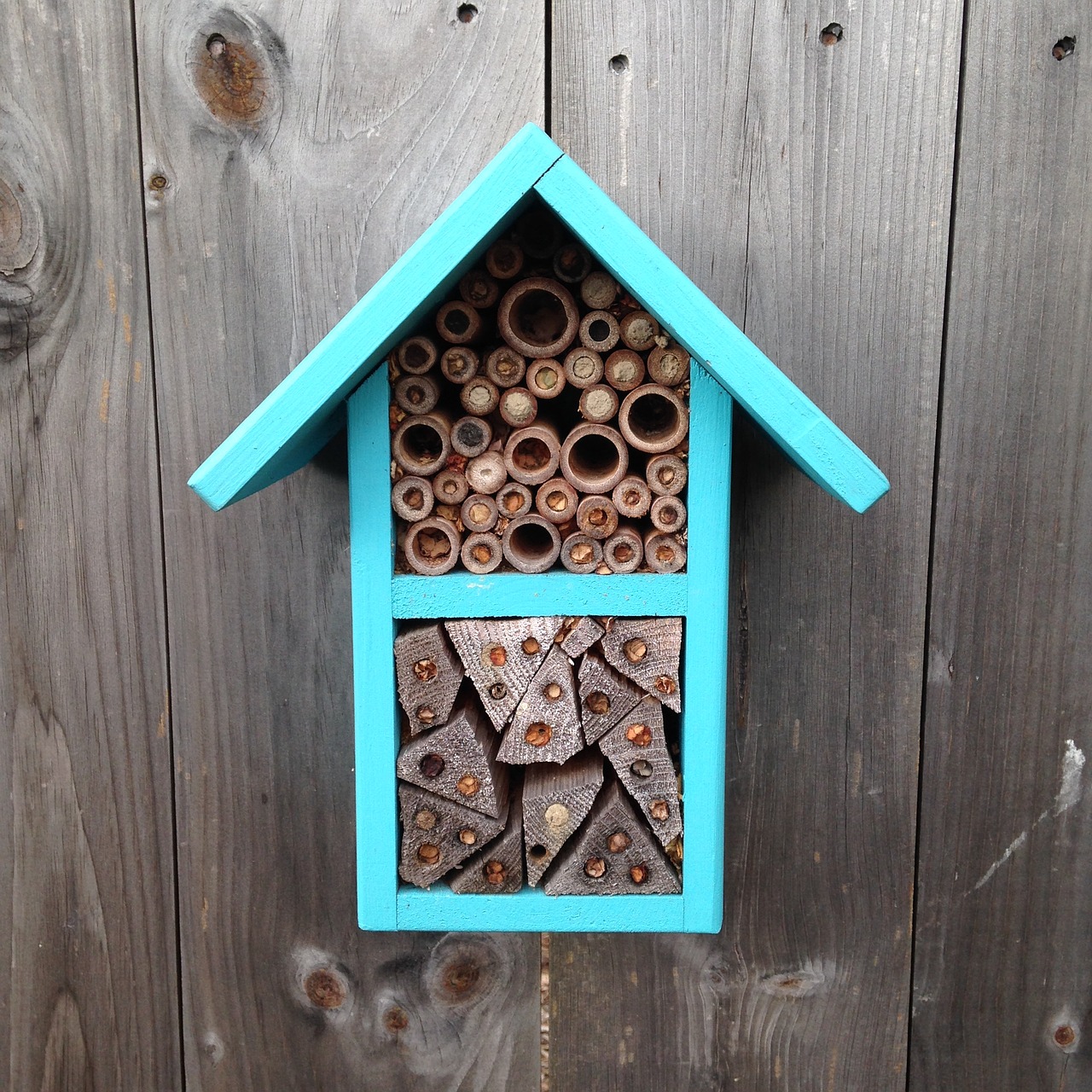 bees pollinators bee house free photo