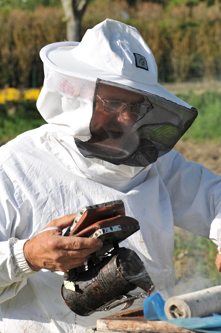 bees  beekeeper  honey free photo