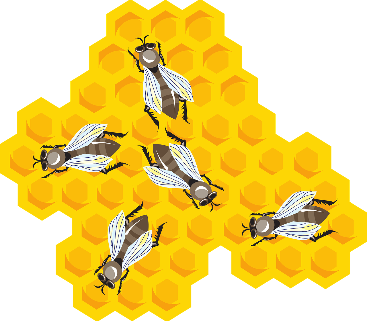 bees honeycomb combs free photo