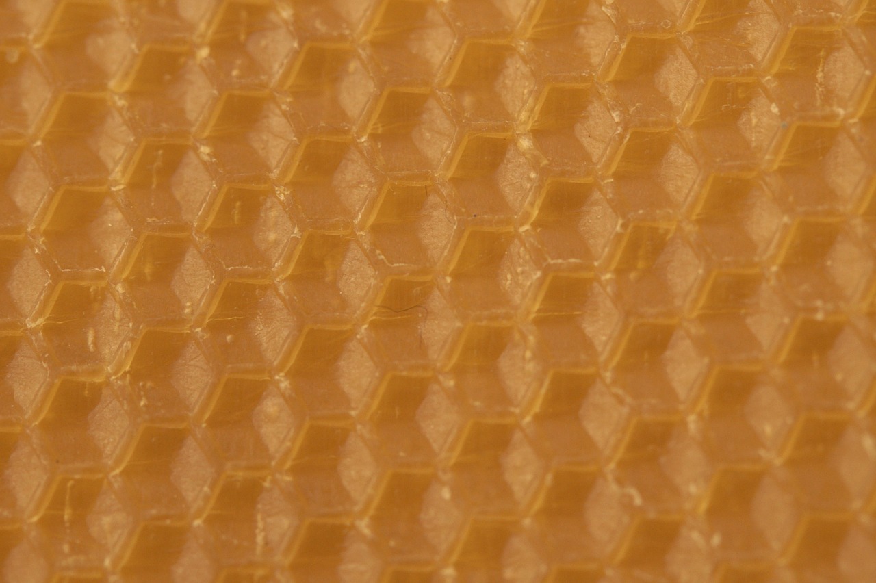 beeswax combs honeycomb free photo