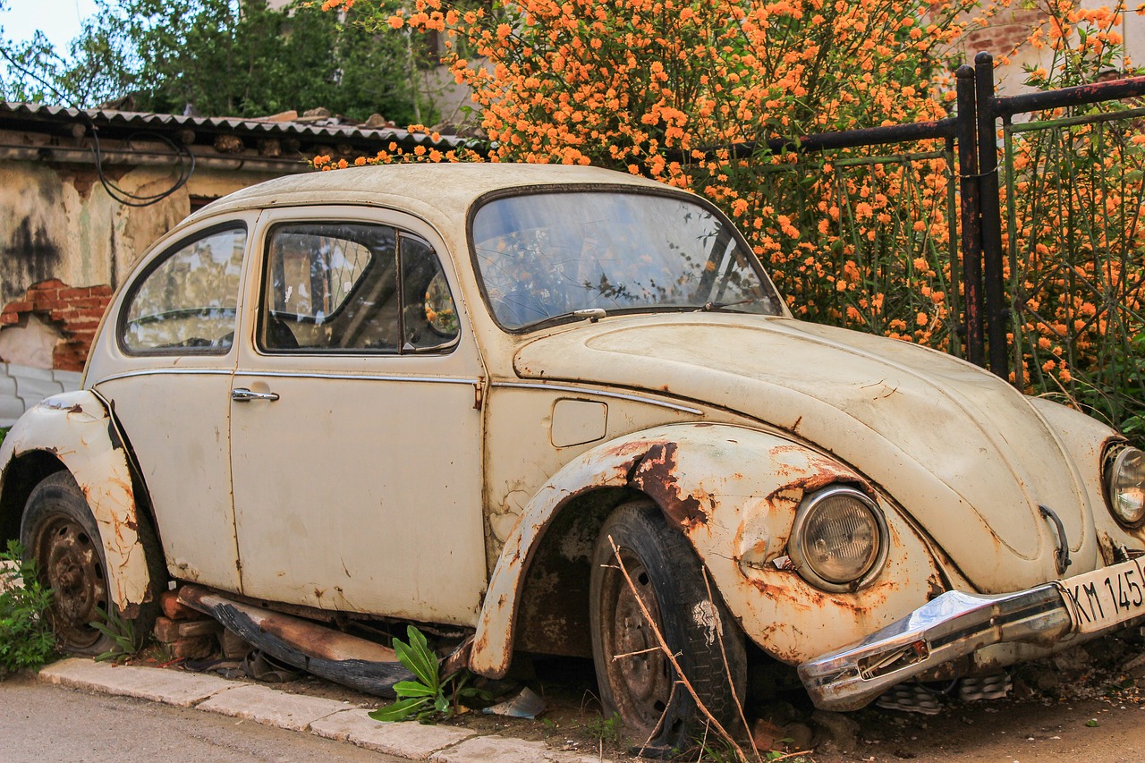 beetle volkswagen vehicle free photo